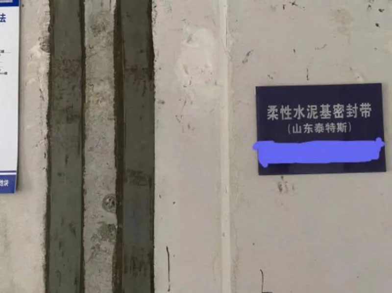 泰特斯為何成為行業(yè)翹楚？“精、尖、專”是關鍵！